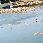 शिप्रा में प्रदूषित पानी…प्रशासन की उड़ी नींद