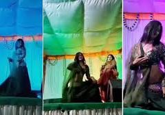 ब्रह्माणी माता मंदिर मेले मेंअश्लील  डांस, :इशारे भी करती दिखी डांसर; युवकों ने किया हुड़दंग