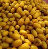 गर्मी के मौसम में ठंडा ठंडा कूल कूल करने वाले फल खिरनी सेतुत की आई बहार