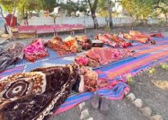 खनिज विभाग पर खाली डंपर पकड़ने का आरोप:विरोध में करणी सेना समर्थकों ने रातभर दिया धरना,