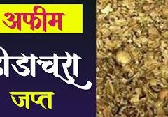 मंदसौर से डोडाचूरा बेचने बड़नगर आया था युवक -पुलिस ने किया गिरफ्तार, रिमांड पर पूछताछ