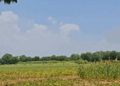 खाद, बीज और कीटनाशक विक्रेताओं की मांग, 5 लाख कारोबारी आज बंद रखेंगे कारोबार, इंदौर में कलेक्टर को देंगे ज्ञापन