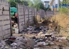 गाय का कटा सिर मिलने के मामले में दंपती समेत3  गिरफ्तार; मांस के टुकड़े हांडी में रखे थे