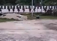 बच्चे ने 10 बौद्ध भिक्षुओं को कुचला, :  पिकअप ट्रक चला रहा था, 10 किमी बाद कंट्रोल खोया