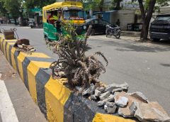 देवास रोड , नानाखेड़ा चौराहे पर रखरखाव के अभाव में बदहाल हुए डिवाइडर, पौधे भी हो रहे नष्ट