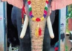 परंपरा और धार्मिकता की स्थिति में आधुनिकता के समावेश का सुझाव  महाकाल की सवारी में ‘रोबोटिक हाथी’ की पेशकश  पशु-अधिकार संगठन PETA इंडिया ने मंदिर समिति को दान में देने का प्रस्ताव रखा