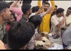 कार्यकर्ताओं ने मवेशी के कंकाल को सीएमओ की टेबल पर रखकर किया विरोध ,प्रकरण  दर्ज