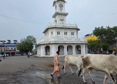 सड़कों पर मवेशी, हादसे का अंदेशा, जिम्मेदार मौन   आवारा मवेशियों को पकड़ने की कार्रवाई भी ठंडी पड़ी