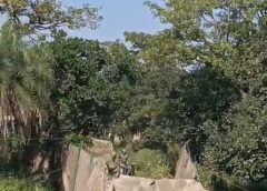 वन विभाग ने सर्व पितृमोक्ष अमावस्या से 21 दिवसीय अभियान की शुरूआत की  ढाई घंटे में शतक ,100 कृष्णमृगों का सुरक्षित रेस्क्यू  -प्रमुख सचिव सहित वरिष्ठ अधिकारी एवं 7 जिलों के डीएफओ  अभियान में शामिल